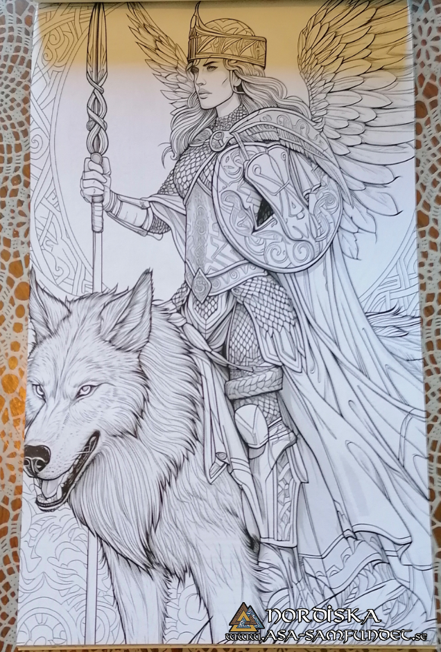 Deluxe Viking Coloring Book for Children and Youth