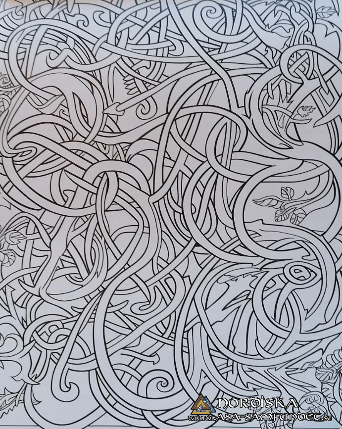 Deluxe Viking Coloring Book for Children and Youth