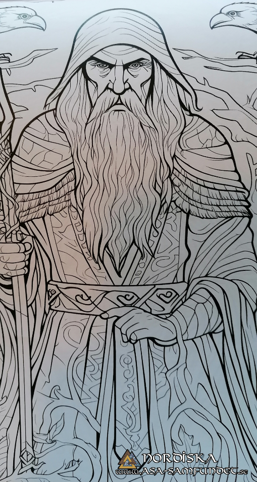 Deluxe Viking Coloring Book for Children and Youth