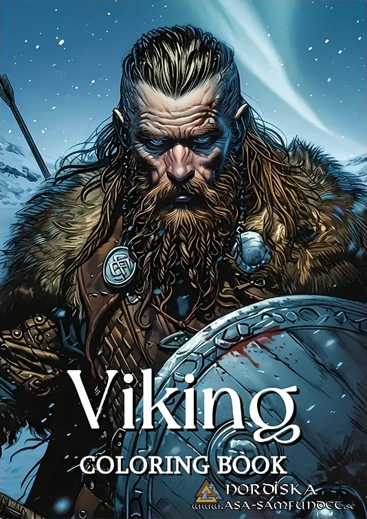 Deluxe Viking Coloring Book for Children and Youth